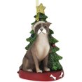 thumbnail image 3 of Kurt S. Adler American Pitbull Sitting by Christmas Ornament Pet Dog Animal Decoration (C7954PB), 3 of 3