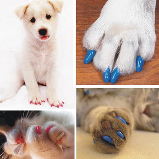  Nail Caps for Cats and Dogs