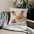 thumbnail image 5 of Lilixerw 18x18 Inch Cute Pig Pattern Pillow Cover Printed Embroidery Style Cushion Case,Soft Short Lint Throw Pillowcase for Sofa Bedroom Living Room Home Spring Decor,White, 5 of 6
