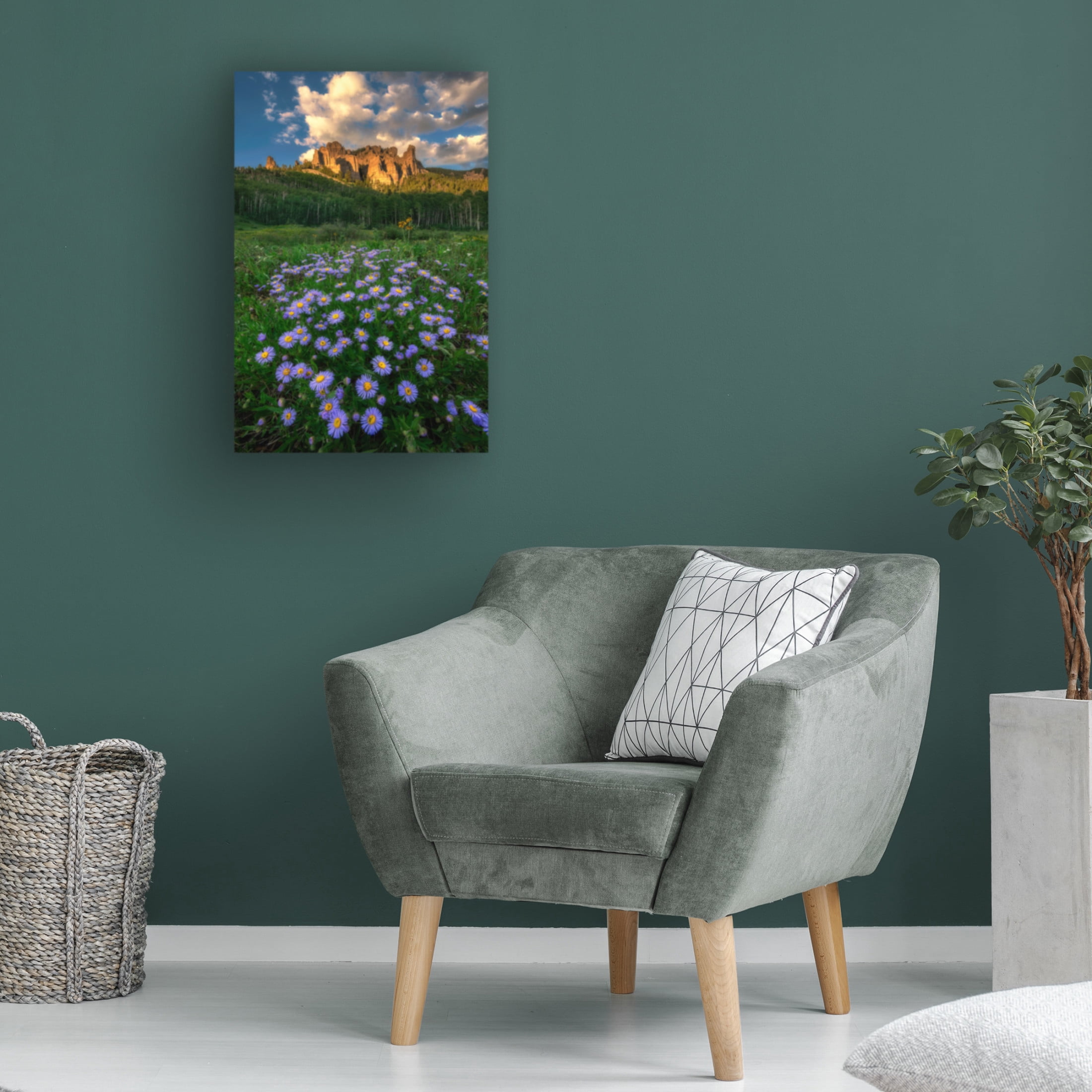 Canvas Wall Art - Mei Xu 'Canyon And Daisies' Wall Art for Living Room, Bedroom, or Office Décor by Trademark Fine Art - 30 x 47 Inches