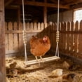 thumbnail image 2 of Kraoden Wooden Chicken Coop Swings Toy for Pet Chickens and Parrots, Interactive Suspension Ladder with Beads, Promotes Exercise and Development, 2 of 7