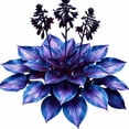thumbnail image 2 of 500 Count，Rare, Candy-Colored Mixed Hosta Seeds ， Easy to Grow, Cold-Hardy, Self-Seeding, and Abundant; Ideal for Indoor and Outdoor Landscaping & Gardening., 2 of 5