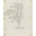 thumbnail image 2 of George Howland Beaumont 20x24 Gold Ornate Framed and Double Matted Museum Art Print Titled - Tree at Easton Park (1787), 2 of 4