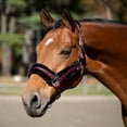 thumbnail image 2 of Equinavia Valkyrie Soft Ultra Fleece Padded Adjustable Breakaway Horse Halter, 2 of 8