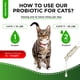 thumbnail image 5 of Probióticos SaluTempet para gatos, apoyo digestivo, 60 ml, 5 of 8