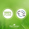 thumbnail image 3 of Plant Therapy Essential Oils Rose Otto 100% Pure, 3 of 4