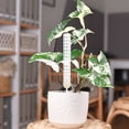thumbnail image 4 of 1 juego de postes para plantas, columnas de musgo, soportes de plástico para plantas trepadoras., 4 of 6