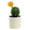 type:style3;, variant on Plastic pots, artificial tropical cactus, bonsai, creative small ornaments, artificial flowers and green plants - type:style4;