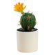 thumbnail image 1 of Macetas de plástico, cactus tropicales artificiales, bonsáis, pequeños adornos creativos, flores artificiales y plantas verdes., 1 of 5
