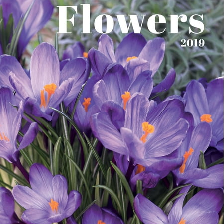 Flowers 2010 Wall Calendar - 2019 WALL CALENDAR, FLOWERS