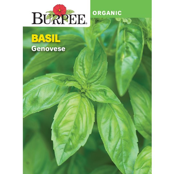 Burpee Organic Genovese Basil Herb Seed, 1Pack