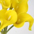 thumbnail image 4 of 20pcs-Calla Lily Flor Falsa-Amarillo Ormromra HMHZ328-5, 4 of 6