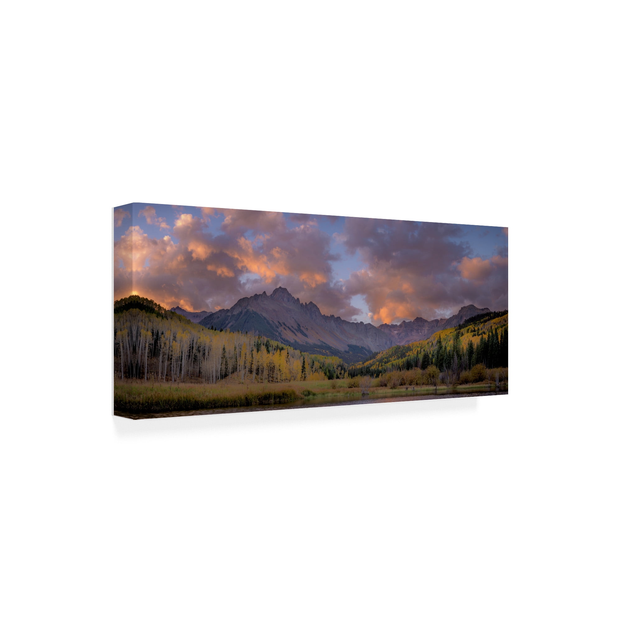 Trademark Fine Art 'Forest 2 Mountains' Canvas Art by Dan Ballard