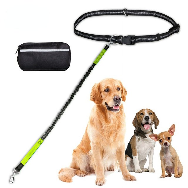 Correa para perro manos libres con bolsa con cremallera; Asas acolchadas dobles y elástico duradero para caminar; Trotar y hacer correr a tu perro