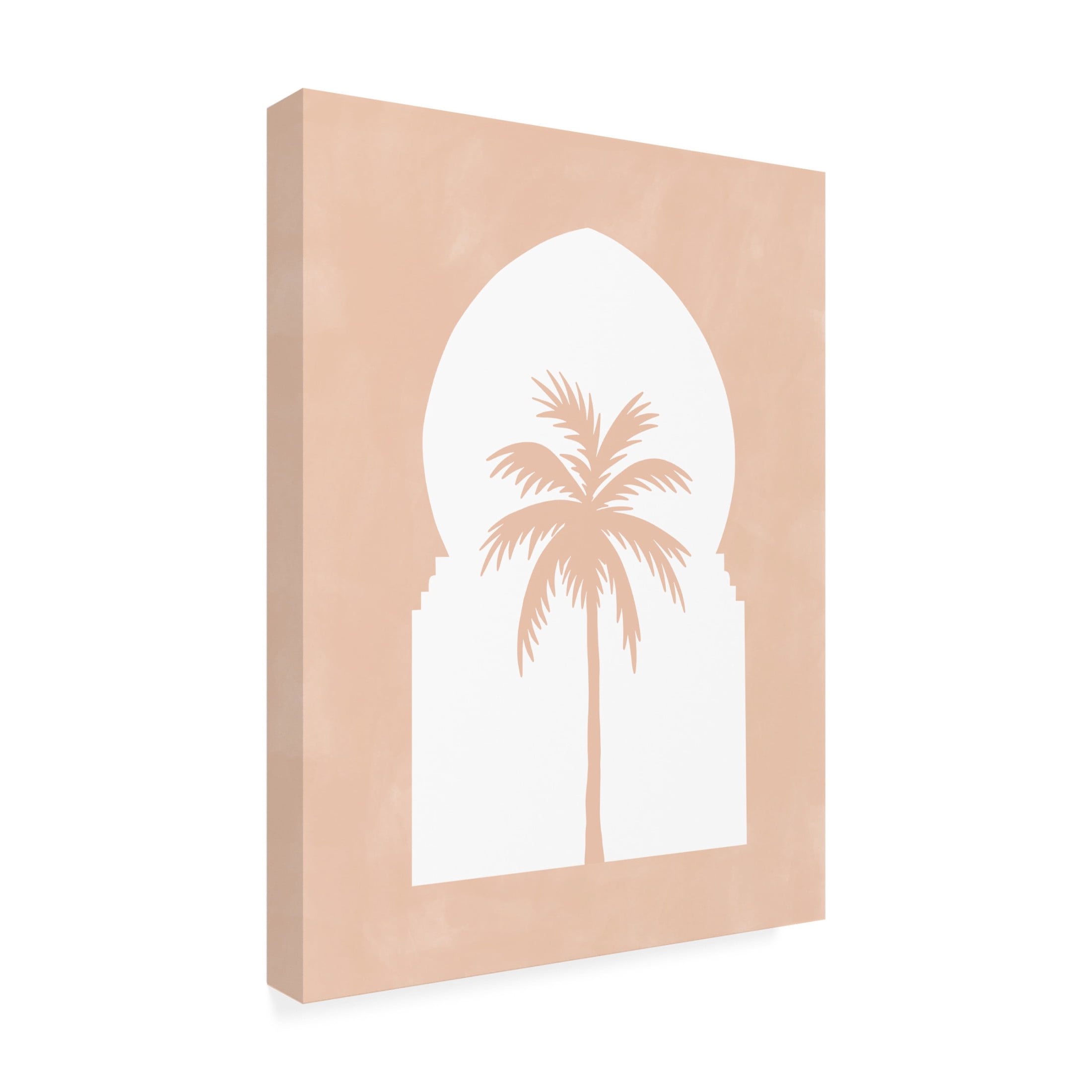 Trademark Fine Art Elena Ristova softpink34 Canvas Wall Art