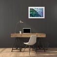 thumbnail image 3 of Fitzharris, Tim 18x13 White Modern Wood Framed Museum Art Print Titled - Coral reef fish-Philippines, 3 of 4