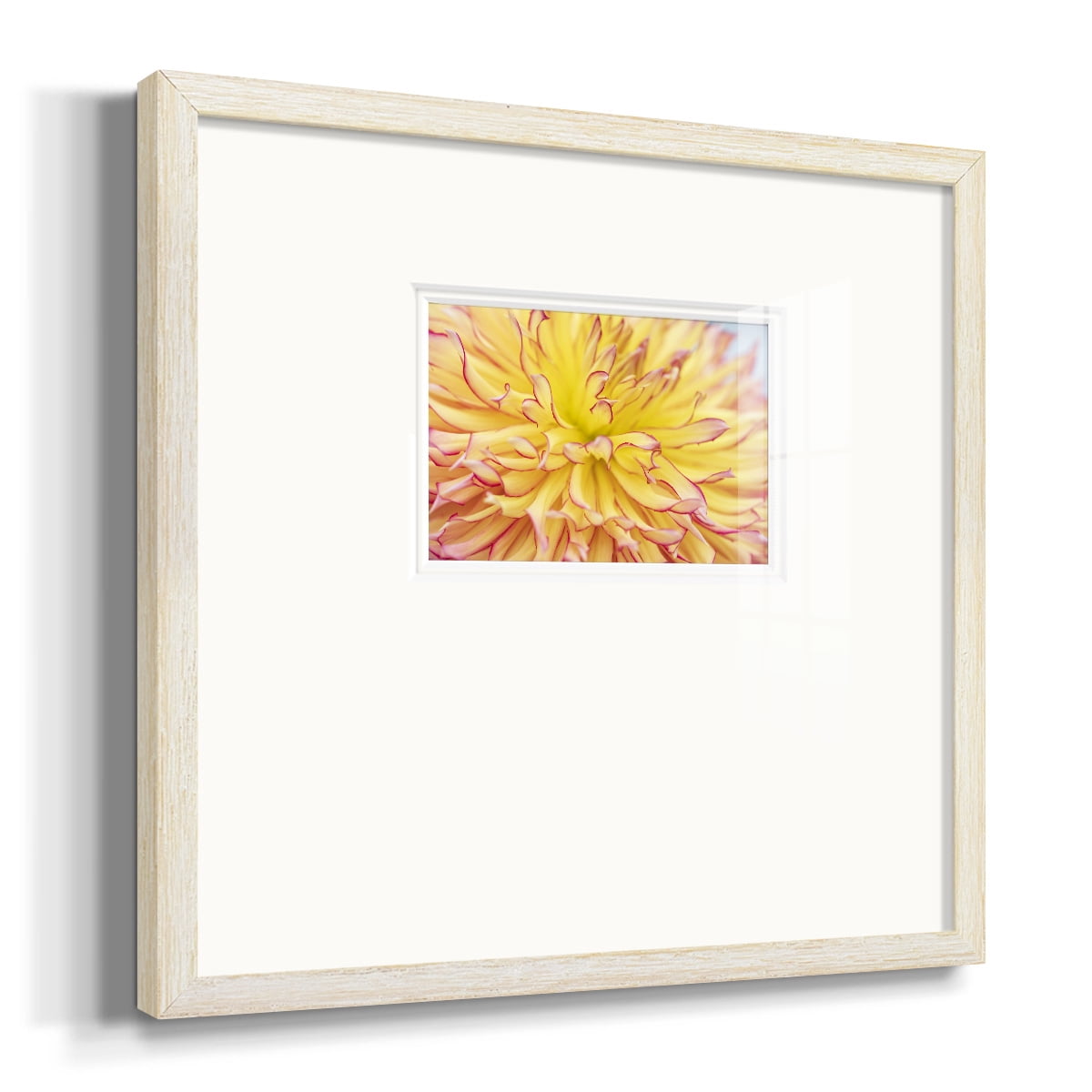Blooms IIIPremium Framed Print
