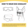 thumbnail image 3 of Gafas para Perro PETLESO para Razas Pequeñas con Protección UV, 3 of 6
