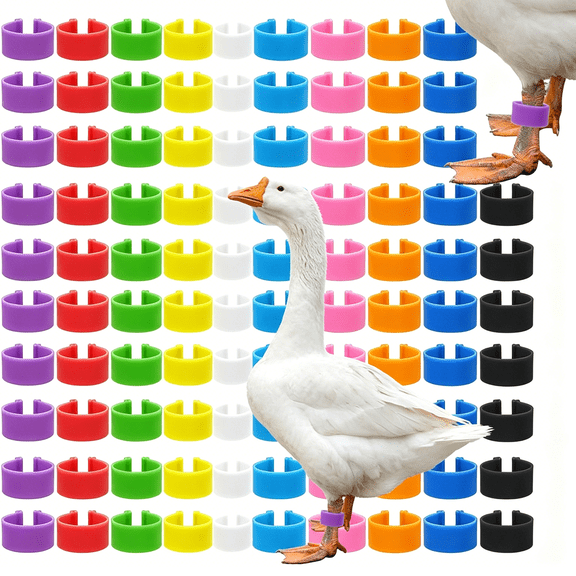 ZULAR 100 Pcs 25Mm Colorful Numbered Duck&Goose Leg Bands with 10 Color,Extra Large Chicken Leg Rings Poultry Turkey Leg Bands Clip on Duck Ankle Tags for Turkey Goose Duck Guinea Chicken Gamefowl