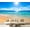 Color 1, variant on Wall Mural Peel and Stick Antarctic Wildlife Penguins Seal Ice Floes Pristine Icy Ocean Self-Adhesive Wallpaper Removable Wall Decal Wall Sticker Home Decor for Living Room Bedroom 100"x144"
