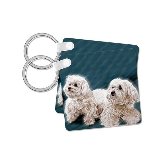 3dRose, Maltese, set of 2 Key Chains