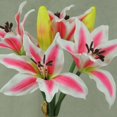 thumbnail image 3 of 1 Pc, 11.5 Inch Tiger Lily Bundle w/4 Blooms Perfect For Decorations, Bridal Showers/Wedding Bouquets & Centerpieces - Cream, 3 of 5