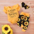 thumbnail image 2 of SUNSIOM 3Pcs Clothes Set, Short Sleeve Romper + Long/Short Pants + Headband, 2 of 9