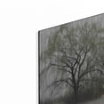 thumbnail image 2 of Luxe Metal Art 'The Rusty Flower Box' by Lori Deiter, Metal Wall Art, 48"x16", 2 of 9