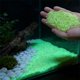 thumbnail image 4 of Arena que brilla en la oscuridad para paisajismo de acuarios: grava fluorescente para la decoración de bordes de jarrones, piedras luminosas para el sustrato de peceras, decoración del hogar., 4 of 6