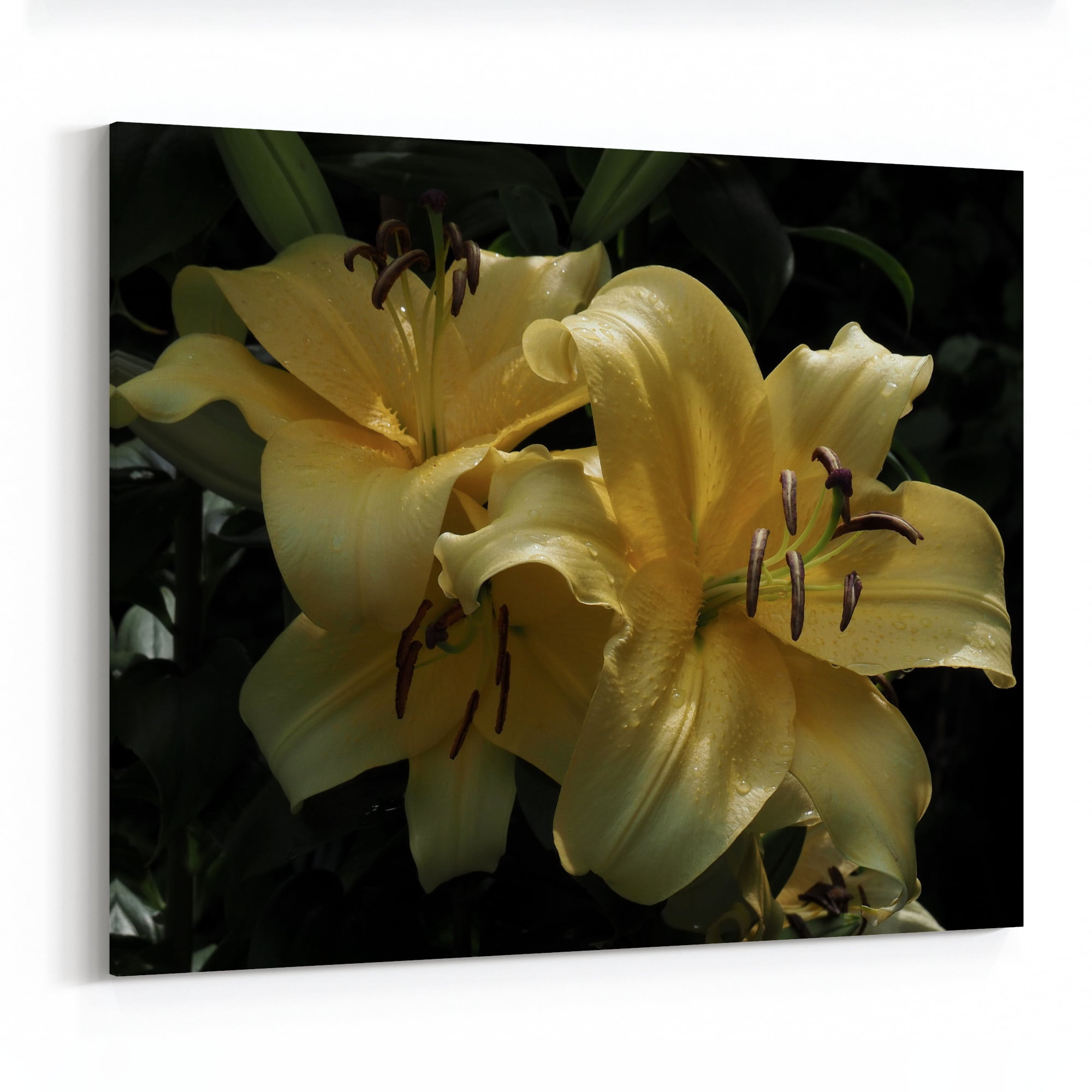 5Pcs Rare Seeds Yellow Lilly Outdoor Beautiful Flowers Annual Spring Home Garden 