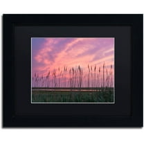 Trademark Fine Art "Marsh Reeds" Canvas Art by Michael Blanchette Photography Black Matte, Black Frame