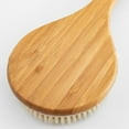 thumbnail image 6 of Natural Wild Boar Bristle Body Exfoliating Brush - Wooden Back Scrubber for Dry Brushing & Shower Exfoliation, 6 of 10