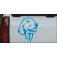 thumbnail image 1 of Golden Retriever Car or Truck Window Decal Sticker, 1 of 1