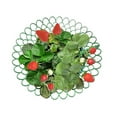 thumbnail image 4 of ADDHAT 5Ud Estantes De Plantación Para Fresas Que Ahorran Espacio Y Mejoran, 4 of 8