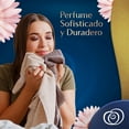 Downy Concentrated Fabric Softener Perfume Elegance / Rinde Hasta El Doble, Perfume Sofisticado