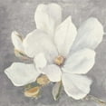 thumbnail image 2 of Purinton, Julia 12x12 Black Ornate Wood Framed with Double Matting Museum Art Print Titled - Serene Magnolia Light Gray, 2 of 4
