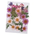 thumbnail image 2 of 25 mezclas das, hojas secas, relleno de muestras de plantas para decoración de uñas, álbumes de recortes, tarjetas, manualidades, resi UNA Gloria Flores secas prensadas naturales, 2 of 9