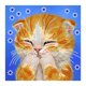 thumbnail image 2 of Cuadros Decorativos 5D DIY parcial especial en forma de taladro diamante pintura gato Kit decoración del hogar (YXC254) Ndcxsfigh Nuevos Originales, 2 of 8