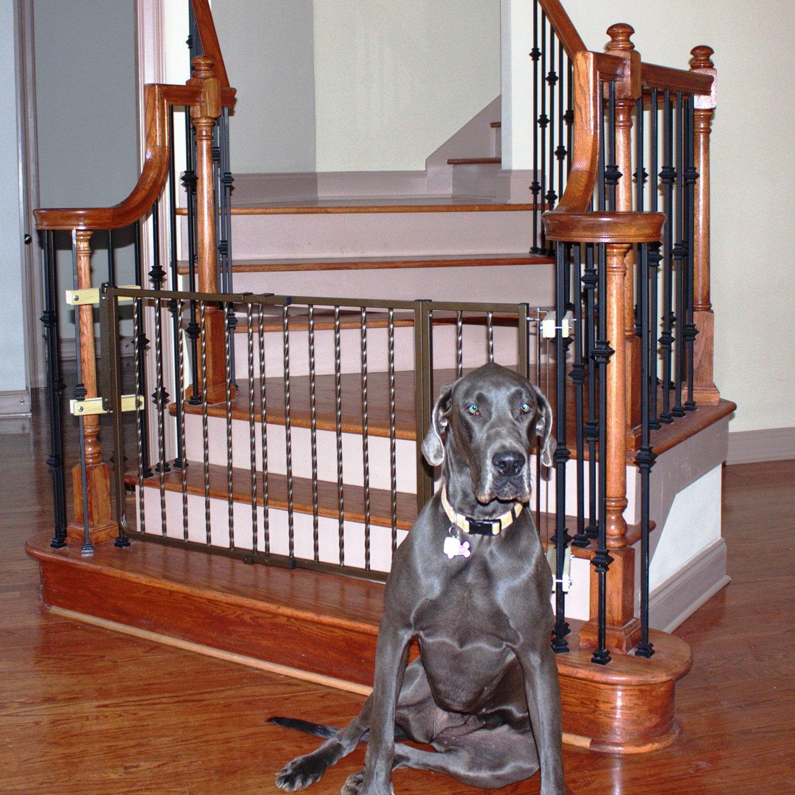 Cardinal Gates Wrought Iron Decor Hardware Mounted Pet Gate Extension