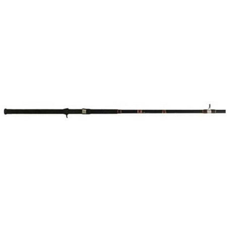 BnM Silver Cat Magnum Rod (Best Fishing Rod For Beach Casting)