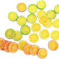 thumbnail image 3 of Mini Simulation Fruit Lemon Slices,Pack of 30 Reusable Simulation Lemon Slices for Cabinet,QZS Portable Fake Fruit Decoration for Home,House,Kitchen(Green), 3 of 6