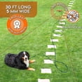 thumbnail image 4 of Cable de amarre y estaca para perros Sliridog, resistente, 9 m, para 90 kg, 4 of 8