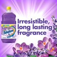 thumbnail image 4 of All Purpose Cleaner, Lavender - 169 fluid ounce, Smells clean for 24 hours By Fabuloso, 4 of 8