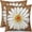 Brown, variant on Spring Daisy Pillow Covers 18x18 Set of 2 Cute Floral Yellow Summer Outdoor Decorative Throw Pillows Farmhouse Flower Pillowcases Linen Cushion Case Decor for Home Sofa Couch Bed