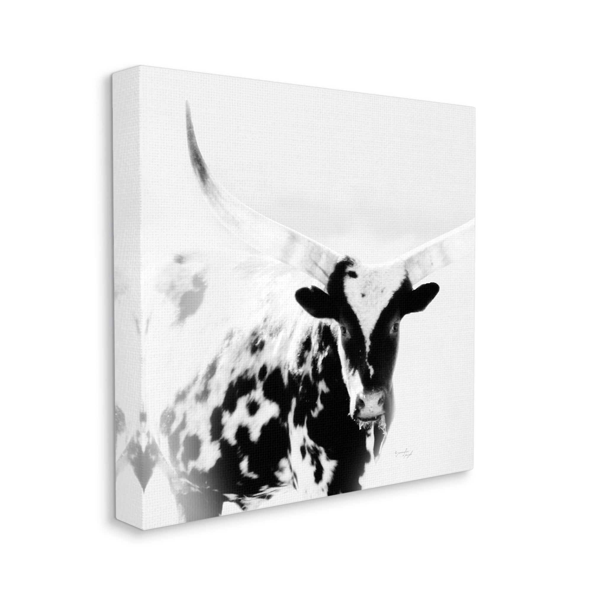 Stupell Industries Spotted Longhorn Cattle Meeting Gaze Animal Portrait Photograph Gallery Wrapped Canvas Print Wall Art, Design by Jennifer Pugh