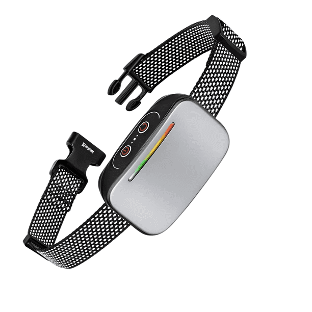 Antiladrido Perro Bloosom Entrenamiento Collar Eléctrico Automático Plateado