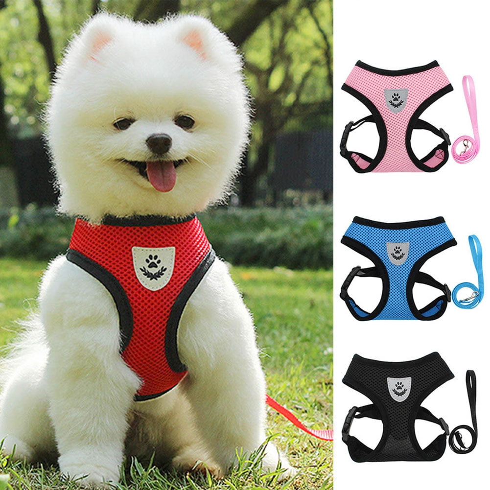 Dog Harness Set (Happy Leaf)