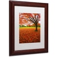 thumbnail image 2 of Trademark Fine Art "Autumn Expressions" Canvas Art by CATeyes, White Matte, Wood Frame, 2 of 3