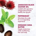 thumbnail image 6 of Shea Moisture Jamaican Black Castor Oil Clarifying Shampoo & Conditioner - Strengthen & Restore Sulfate-Free Shampoo & Conditioner Set with Shea Butter, ACV, and Peppermint Oil for Hair (2 Piece Set), 6 of 8