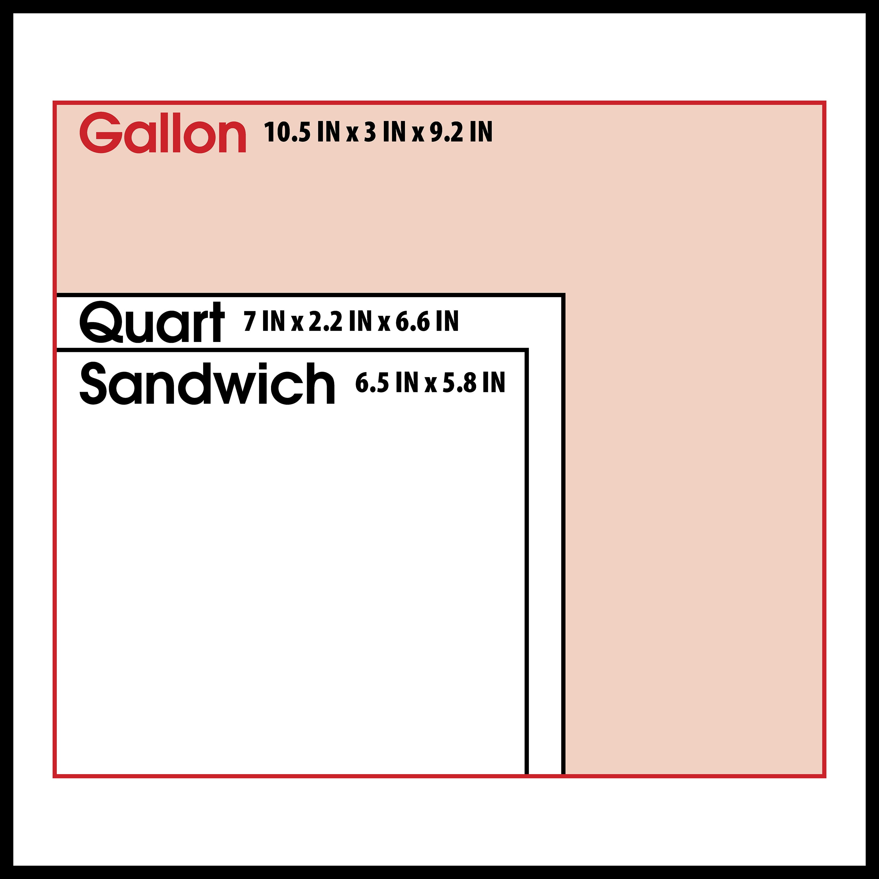 (12 pack) Great Value Reclosable Gallon Bags, Made with Bio-Based Materials, 20 Count